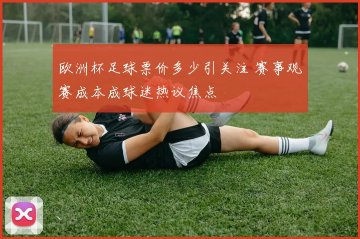 欧洲杯足球票价多少引关注 赛事观赛成本成球迷热议焦点