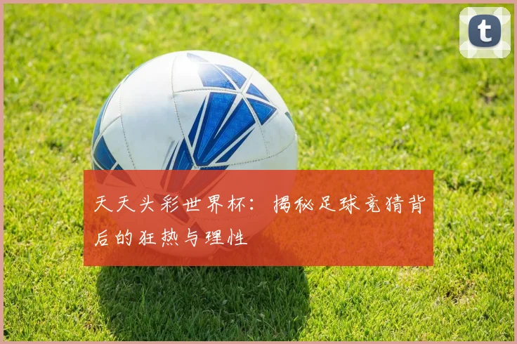 天天头彩世界杯：揭秘足球竞猜背后的狂热与理性