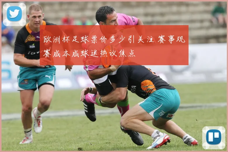 欧洲杯足球票价多少引关注 赛事观赛成本成球迷热议焦点