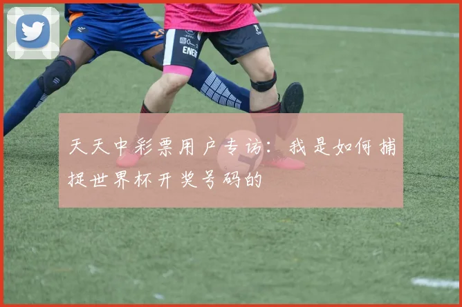 天天中彩票用户专访：我是如何捕捉世界杯开奖号码的